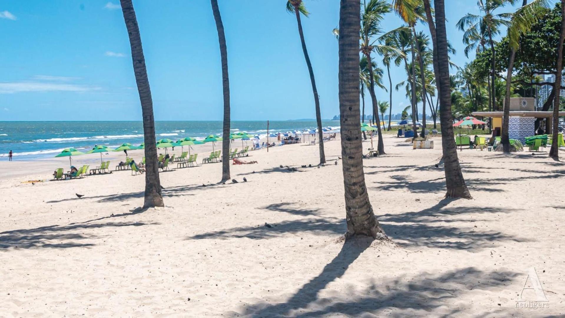 Apartamento Confortavel 3 Quartos Rua Navegantes Em Boa Viagem Sal103a Recife